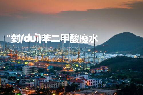 “對(duì)苯二甲酸廢水處理，綠色創(chuàng)新引領(lǐng)環(huán)保新篇章”